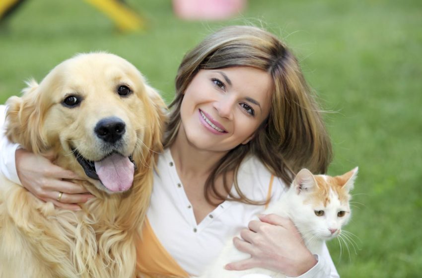  Benefits of Pet Supplements