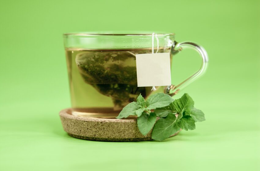  Everyone in the Green Tea Dietary Supplements Industry Should Be Using